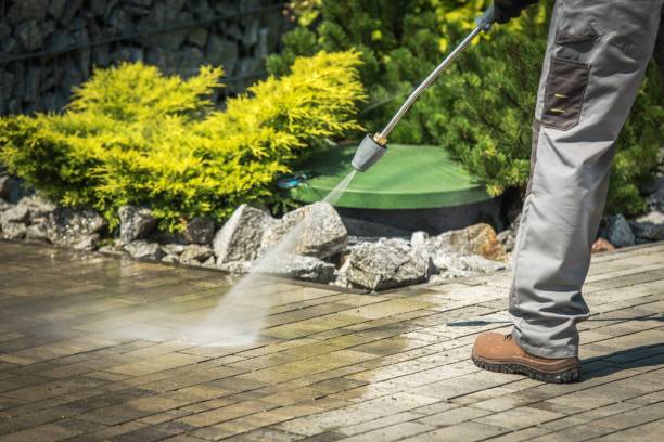 Best Playground Equipment Cleaning  in South Apopka, FL