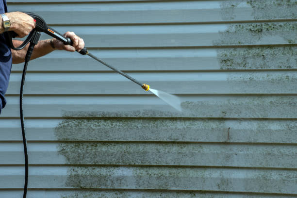 Best Solar Panel Cleaning  in South Apopka, FL